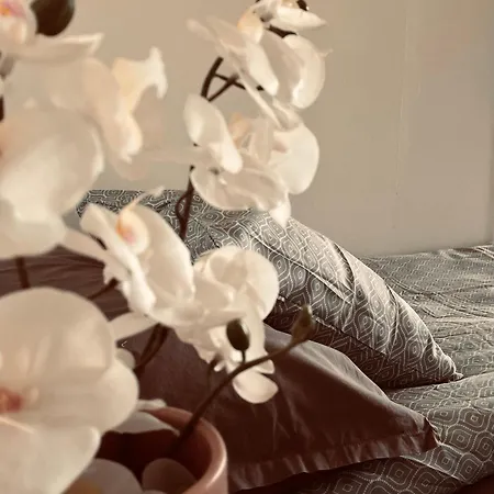 Leipurinkuja 5 A2 - Yksioe Teuvan Keskustassa Apartamento